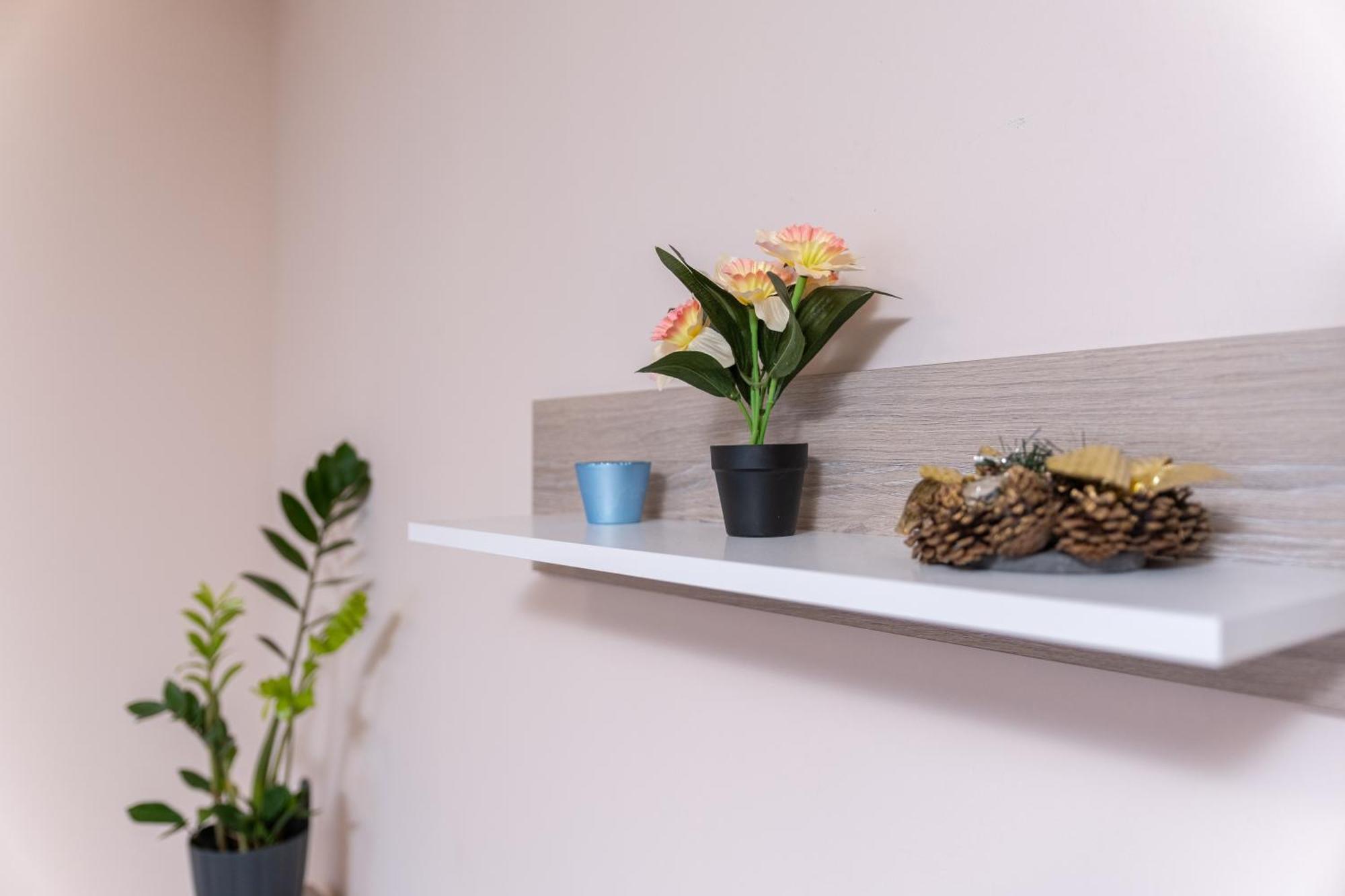 Comfortable 2Br Urban Getaway In City Center 普罗夫迪夫 外观 照片